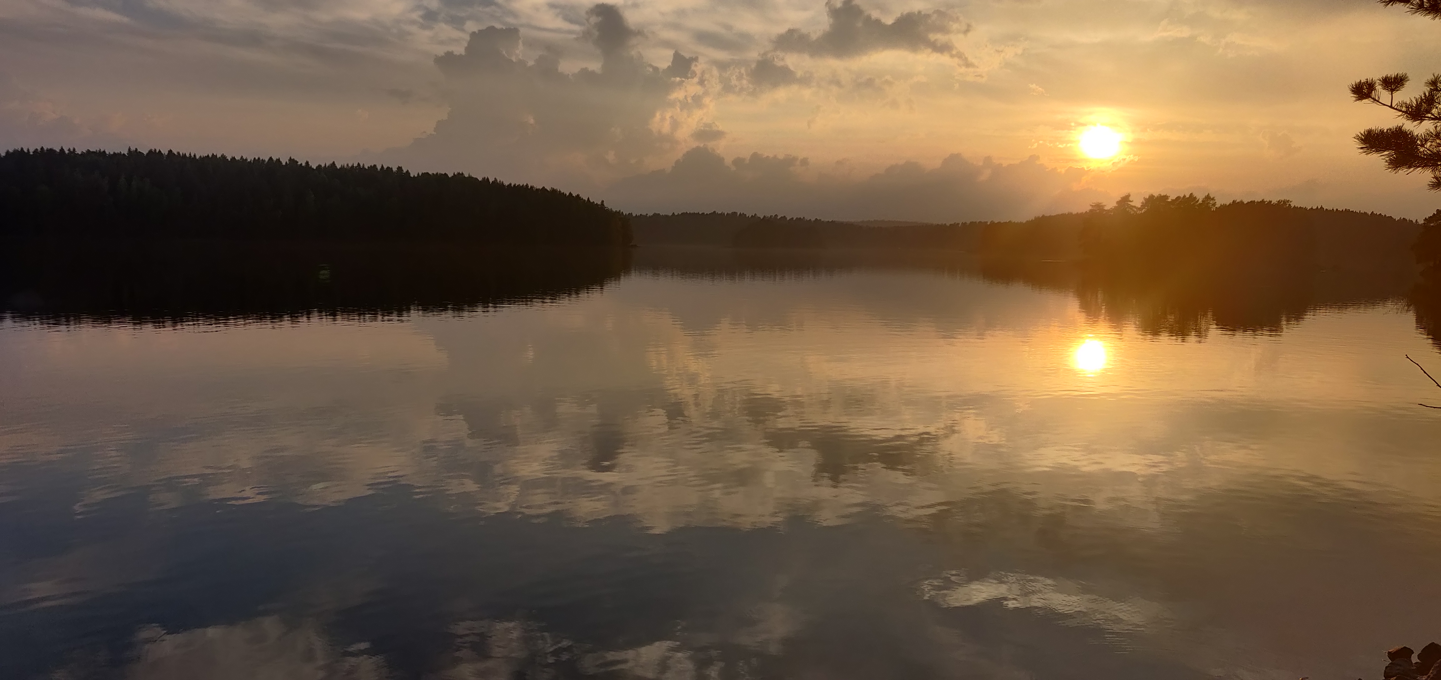 Ota yhteyttä tausta